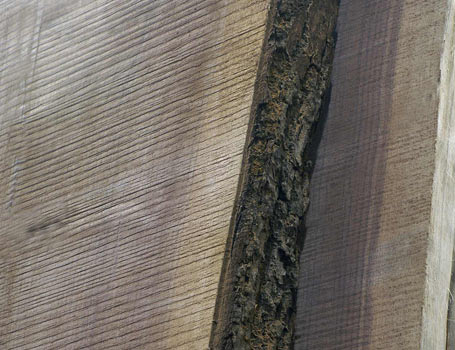 Explore our hardwood slab and lumber store serving the Chicago suburbs with select kiln dried boards and live edge slabs in Walnut, Cherry, Maple, Hickory, Mahogany and more - Great Spirit Hardwoods in East Dundee, Illinois